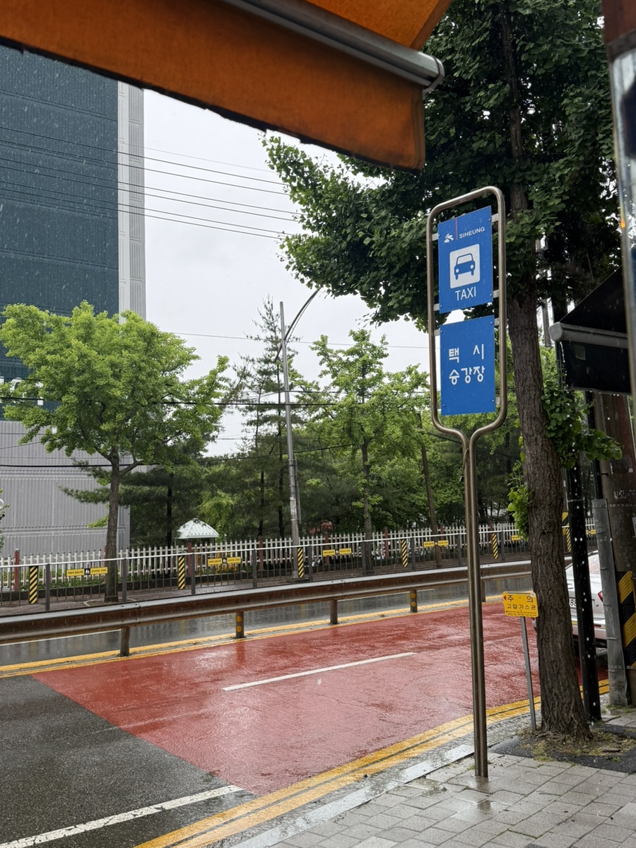올랑 사진 2