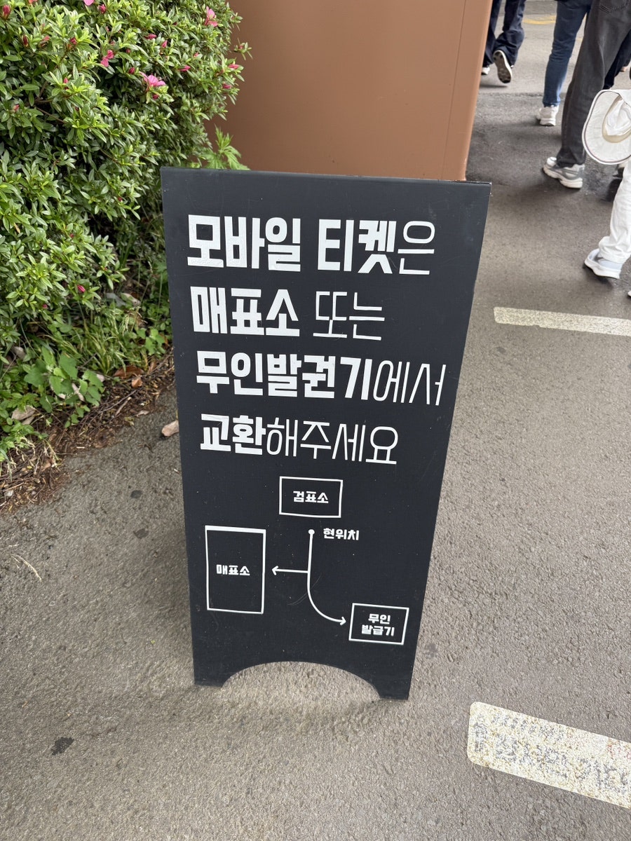 멜리아 사진 5