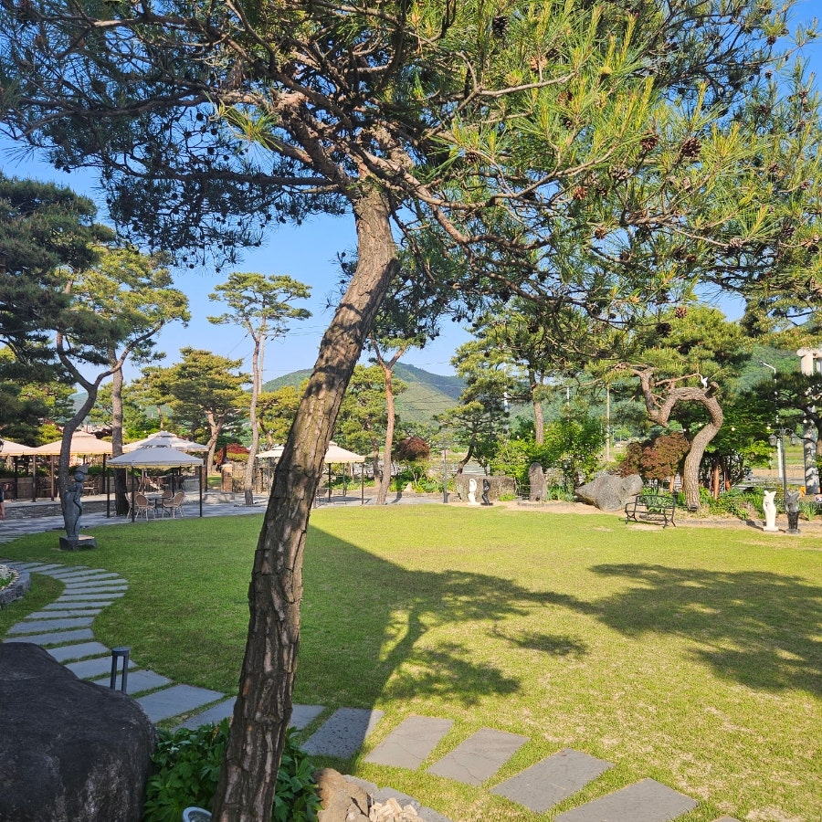 라네베 사진 3