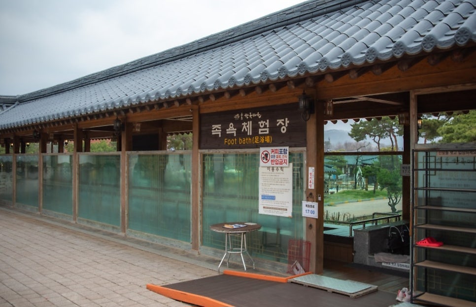 눈꽃나무 사진 5