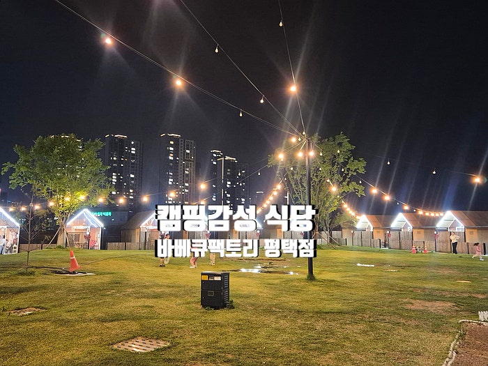 평택맛집 몸만 가서 즐기는 캠핑 감성 가득한 야외바베큐 식당 바베큐팩토리 평택점 이용후....
