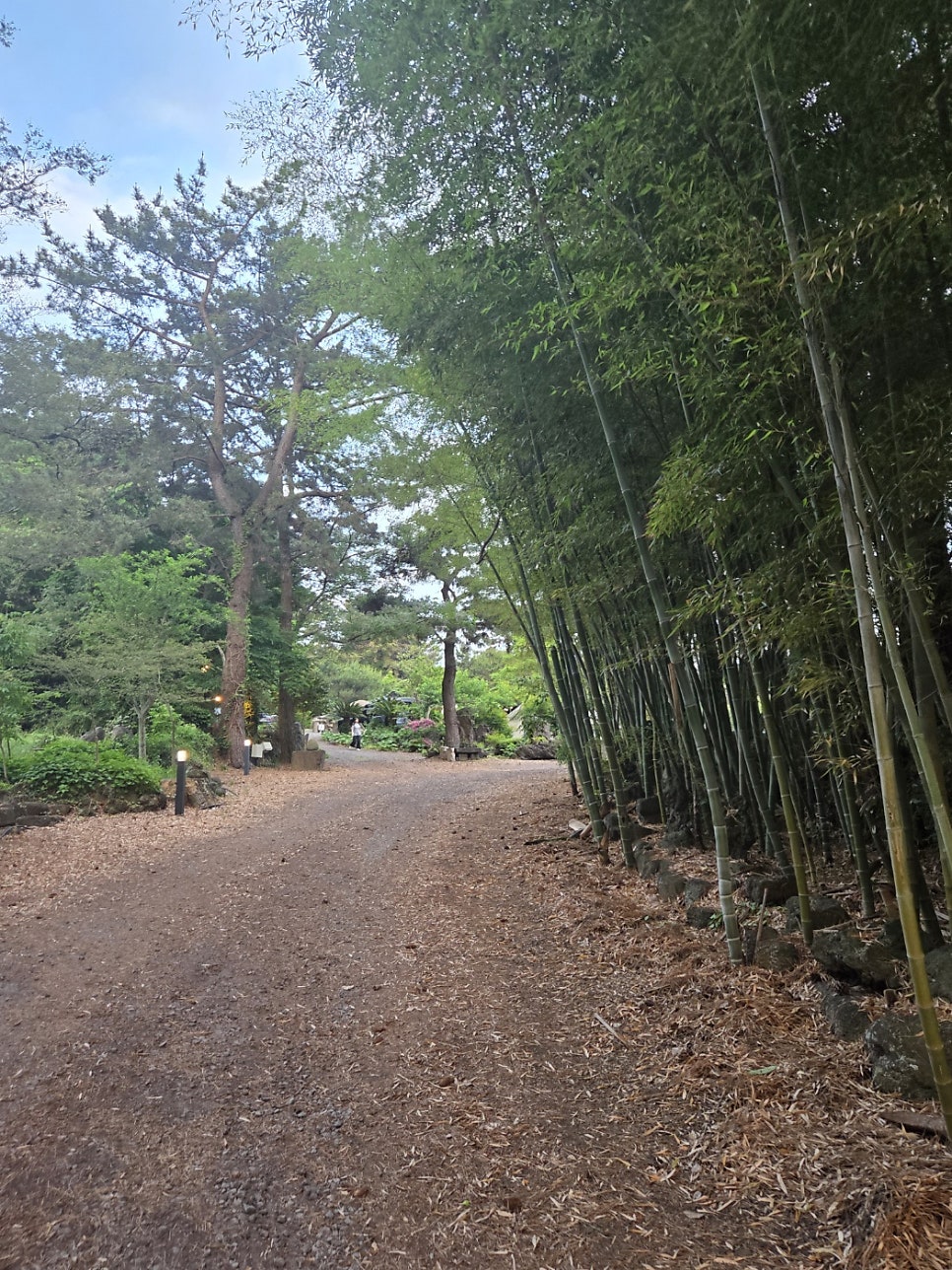 자파리캠핑장 사진 4