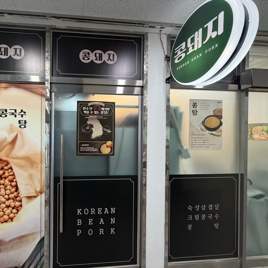 콩돼지 사진 5