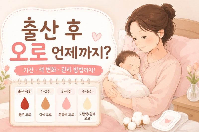 출산 후 오로 끝나는 시기 자연분만 제왕절개 색깔.양 변화 정리