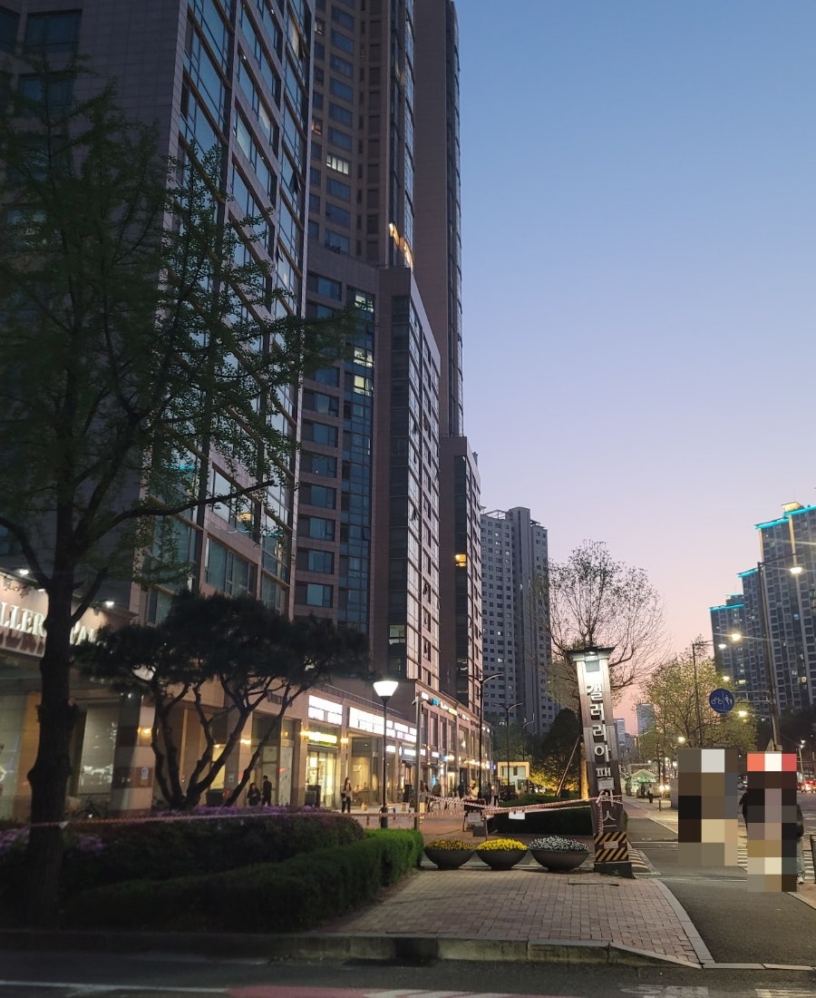 젤라또뚜띠 사진 3