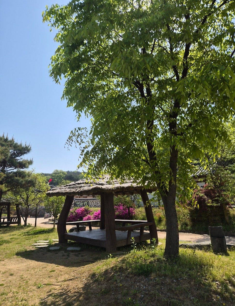 눈꽃나무 사진 4