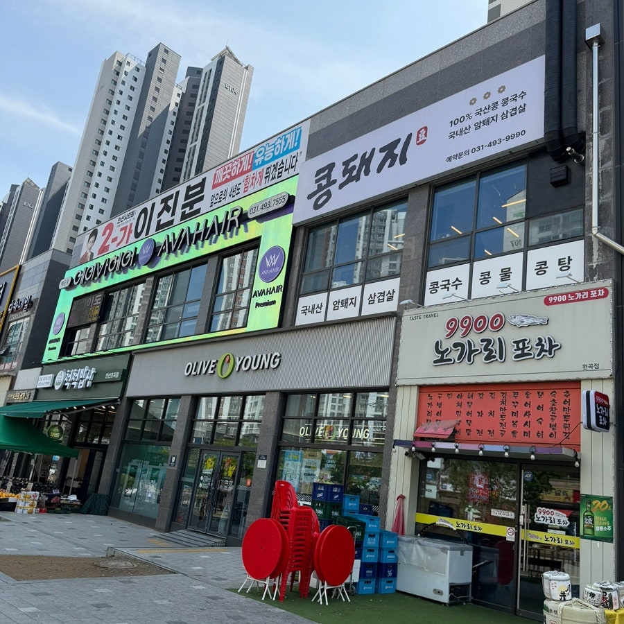 콩돼지 사진 1