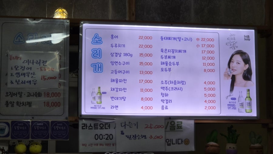 소리개 사진 6