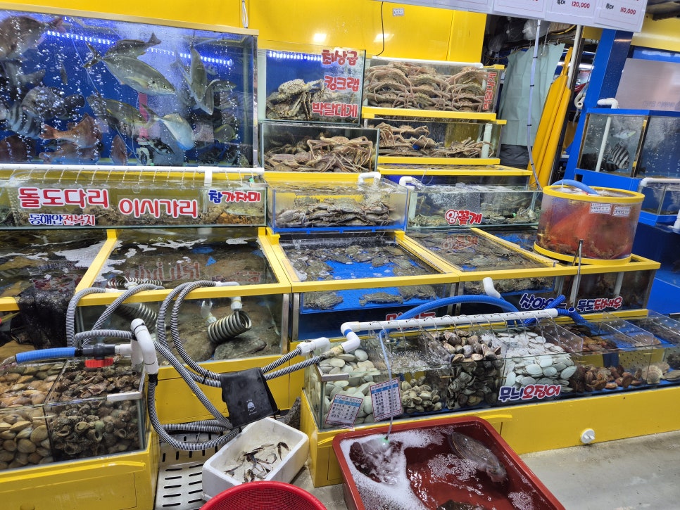 만찬식당 사진 4