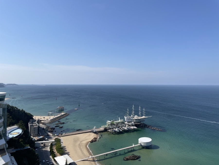 어국 사진 2