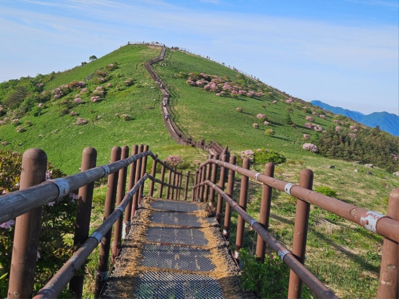 소백산 등산코스  죽어종주  죽령~연화봉~비로봉~국망봉~어의곡 철쭉산행