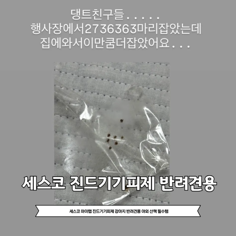 세스코 마이랩 진드기기피제 강아지 반려견용 야외 산책 필수템 진드기안물리는 방법