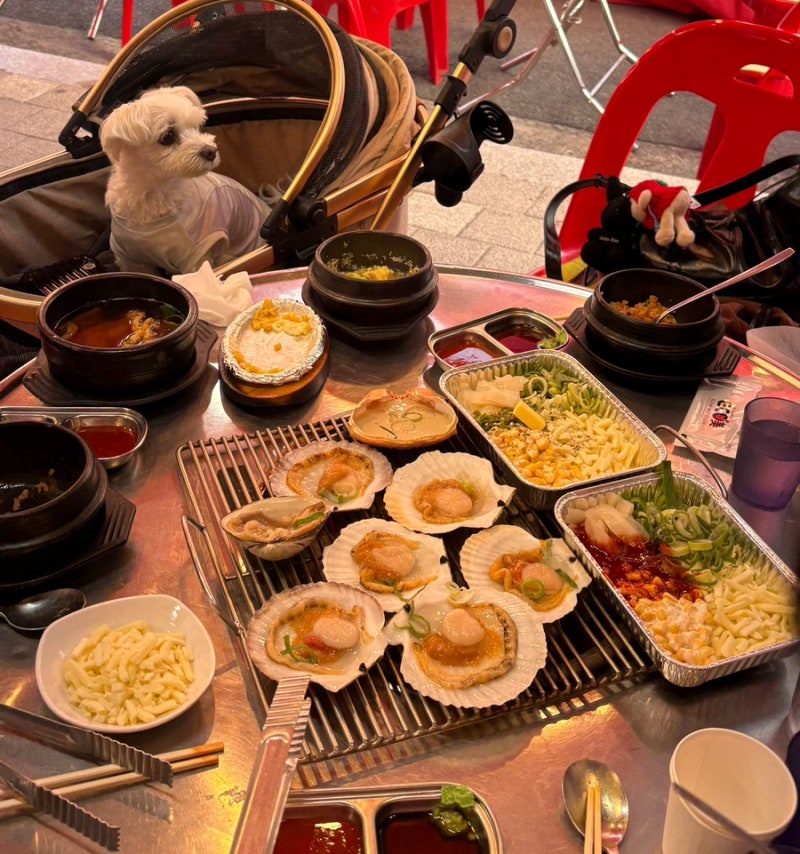 [인천상륙작전]대구 칠성동 조개구이|버터새우|해물라면까지 완벽