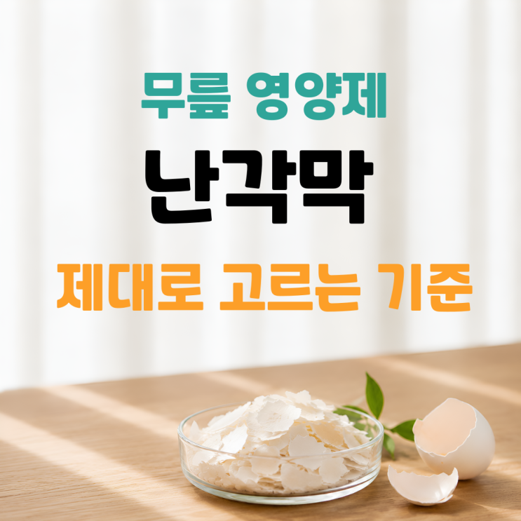  난각막 효능 고르는 기준 제품 비교 정리(NEM, DEM, 가수분해 차이)