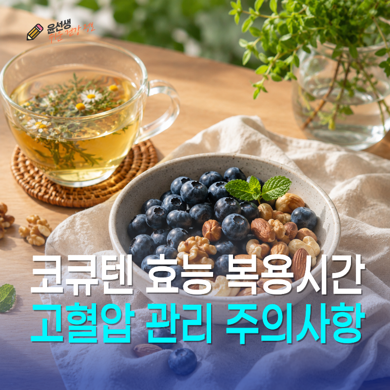 코큐텐 효능 복용시간 고혈압 관리 주의사항