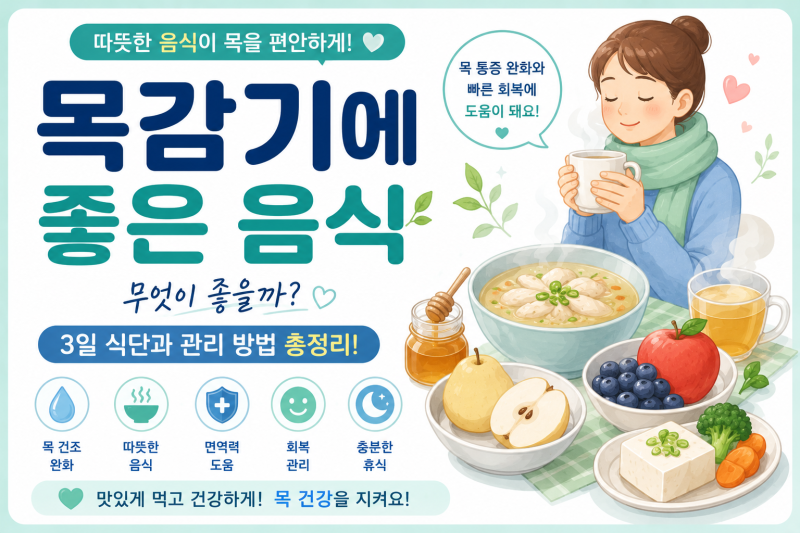 목감기에 좋은 음식 무엇이 좋을까? 3일 식단과 관리 방법 총정리