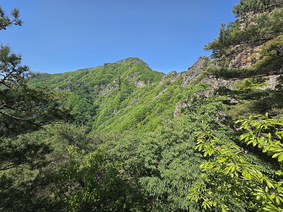 물탕골 사진 4