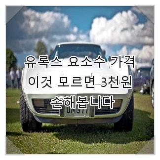 유록스 요소수 가격, 이것 모르면 3천원 손해봅니다