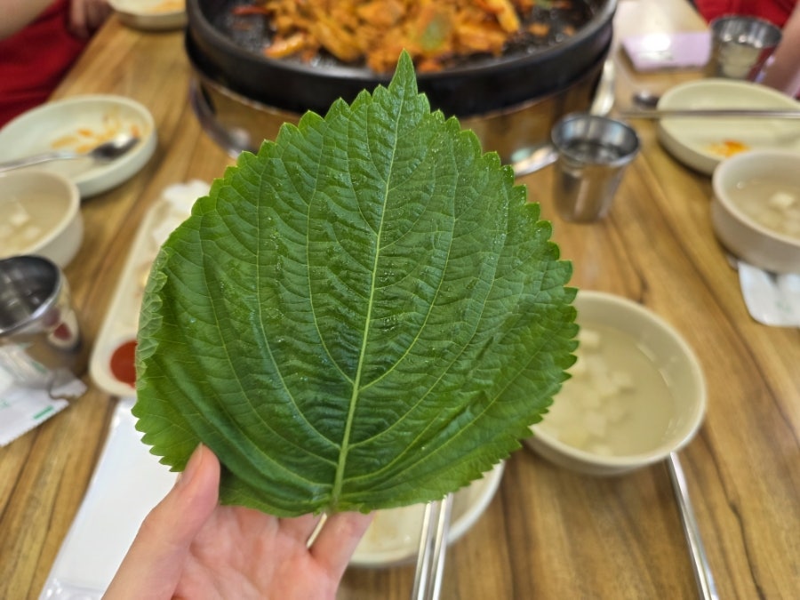 대우닭갈비 사진 5