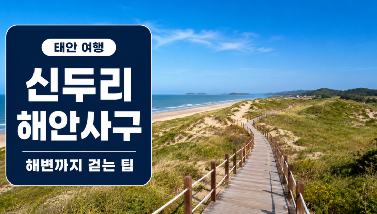 태안 신두리 해안사구 해변까지 걷는 방법