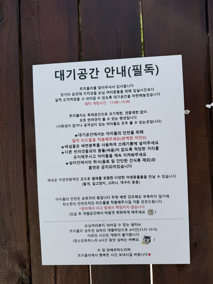 트리몰리 사진 5