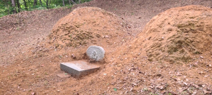  양산시 동면 법기리 산 151 봉분 2기 50평 벌초,잡목제거,봉분복원작업대행("양산벌초대행")