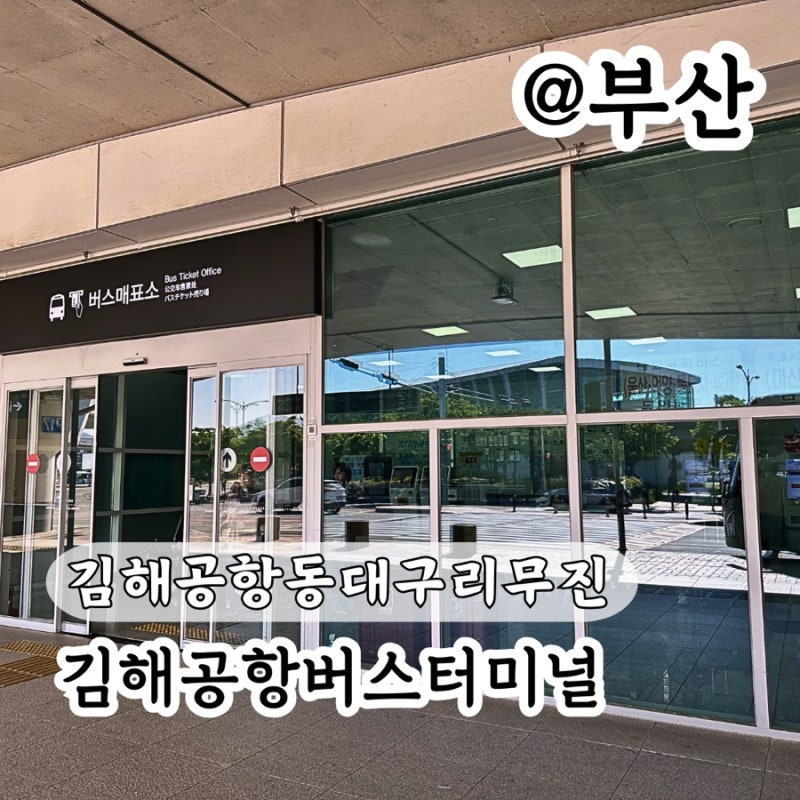 김해공항버스 터미널 동대구 리무진 시간 예약 요금 탑승위치