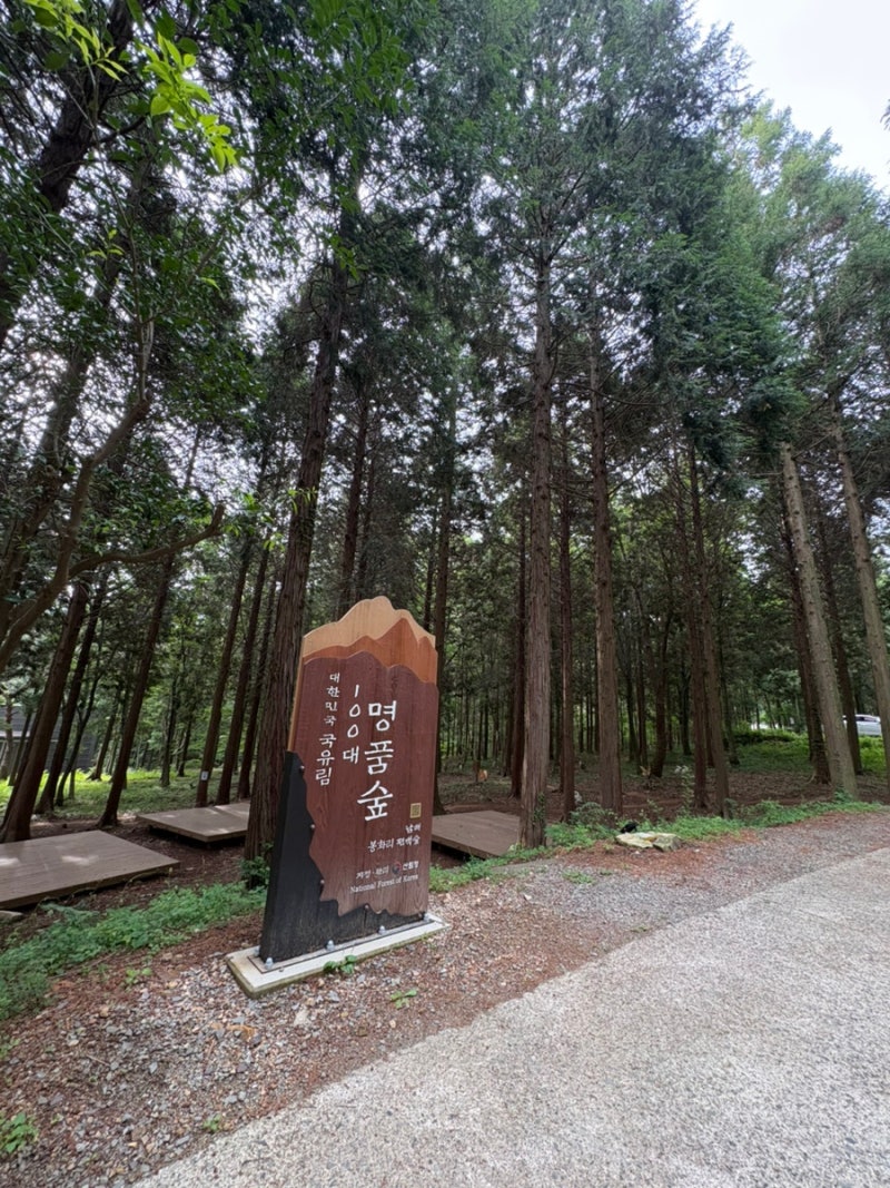국립남해편백자연휴양림