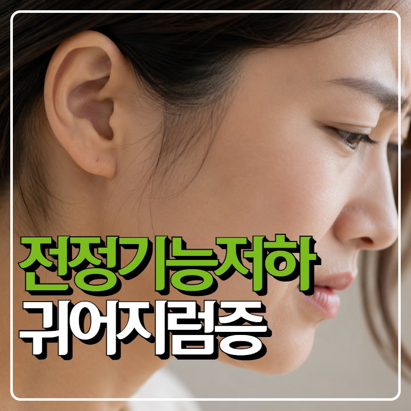 전정기능저하, 귀어지럼증과 기관이상이 있을 때 확인할 것
