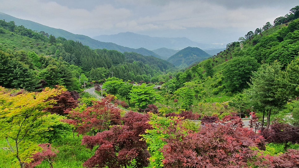 솥뚜껑삼겹살 사진 5