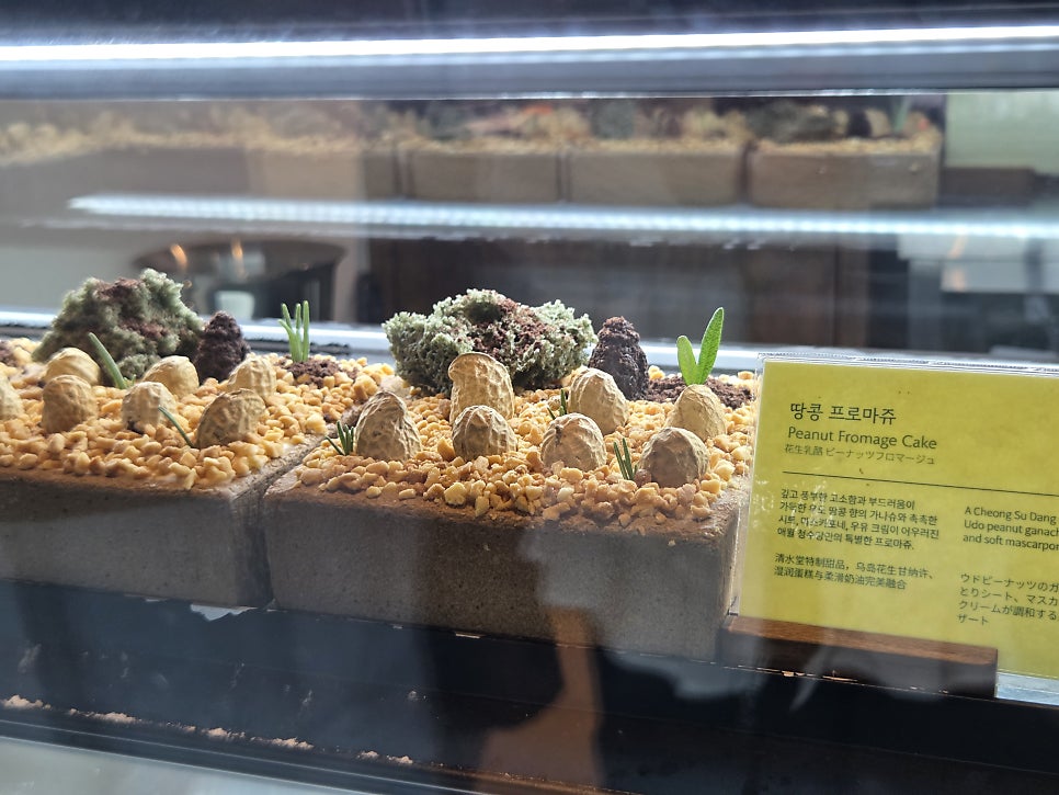 [애월 카페] 청수당 애월 내돈내산 후기 (오션뷰 카페, 애월 맛집)