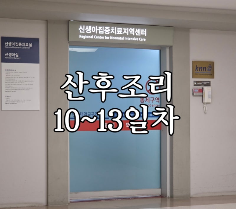 산후조리 10~13일차 : 유축 후 두통해결 / 김삿갓밥집 / 유축 / 더새김 탯줄도장 / 니큐