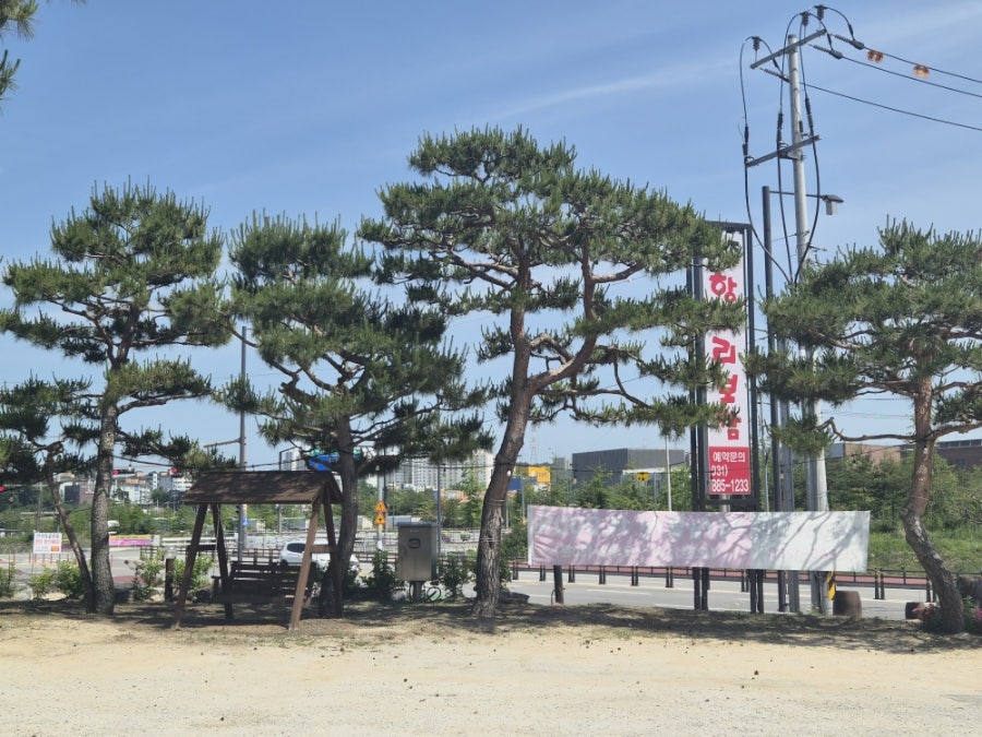 여주항아리보쌈 사진 1