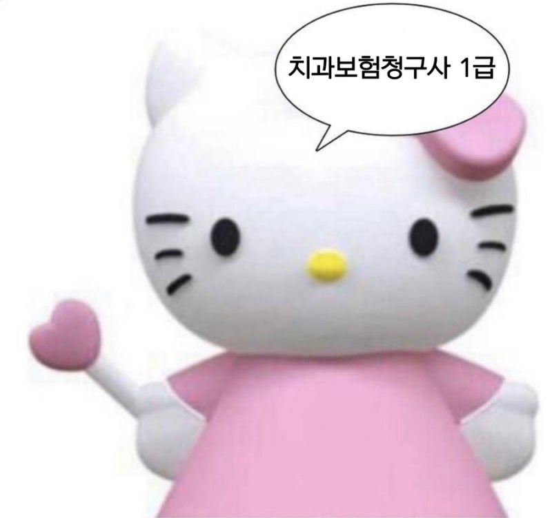 치과보험청구사 1급 시험 독학 : 응시조건, 시험일정, 출제 범위
