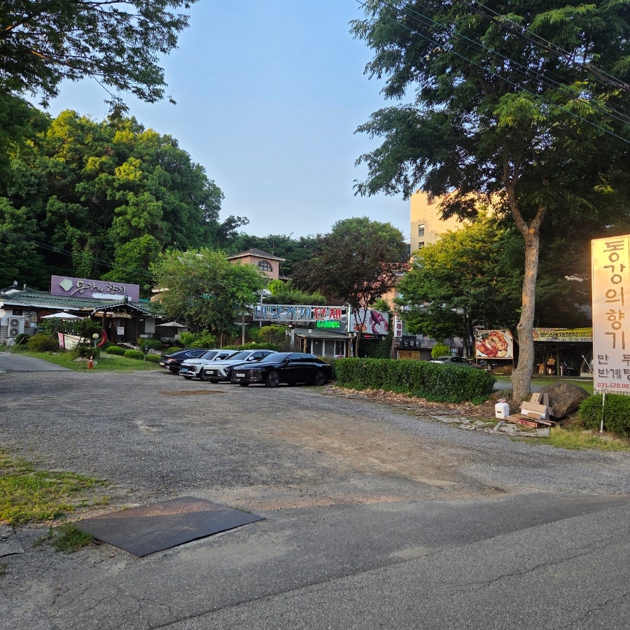 동강의향기 사진 2