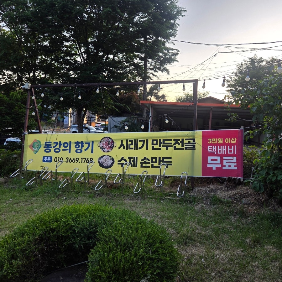 동강의향기 사진 3