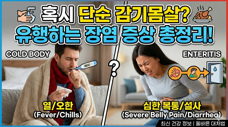 요즘 유행하는 장염 증상과 원인, 감기몸살로 오해하기 쉬운 이유와 대처법 완벽 정리