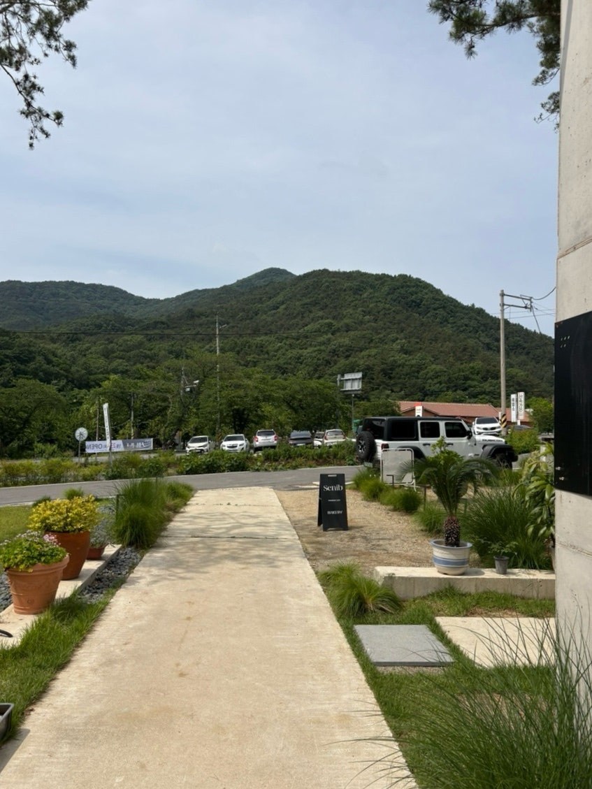 베이커리카페 세니브 사진 6