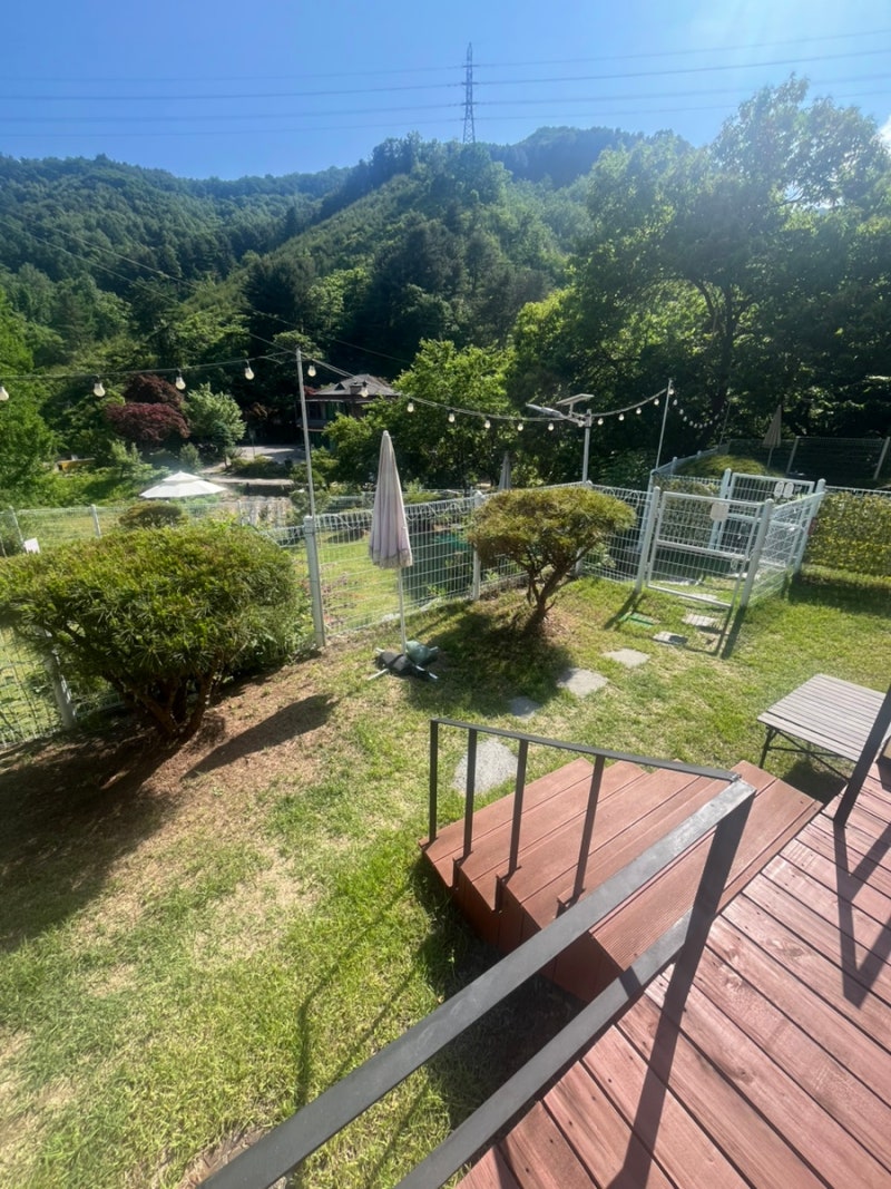 가평/남이섬 애견동반 숙소_바비네하우스펜션