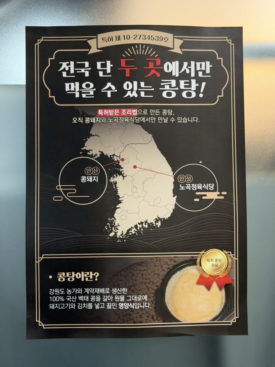 콩돼지 사진 6