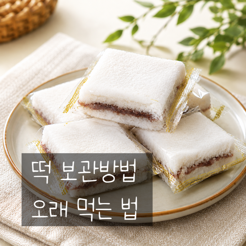 백설기 떡 보관방법 상하지 않고 오래 먹는법