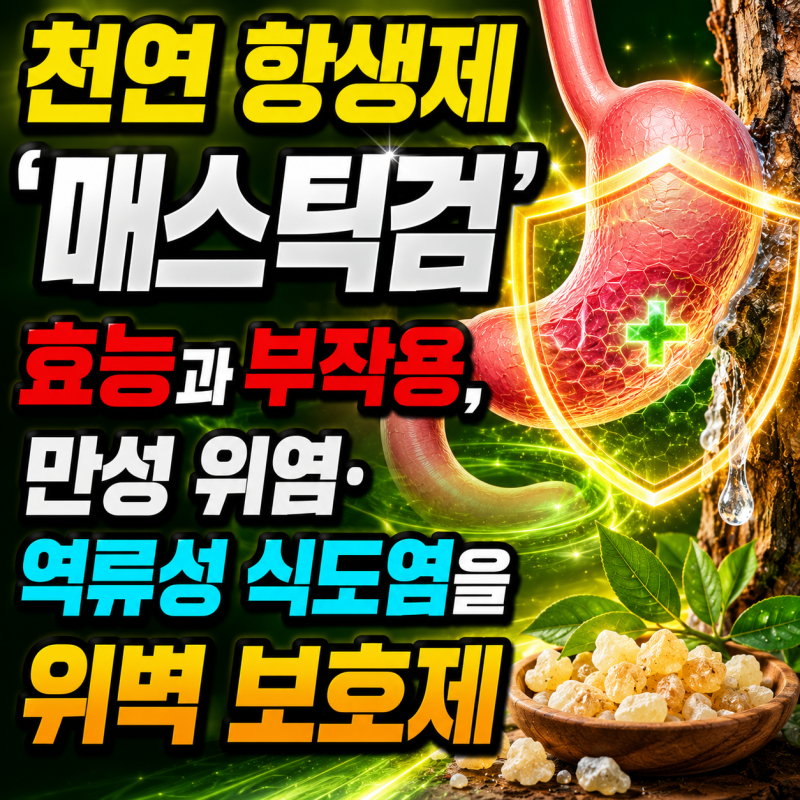천연 항생제 '매스틱검' 효능과 부작용, 만성 위염 및 역류성 식도염을 위한 위벽 보호제