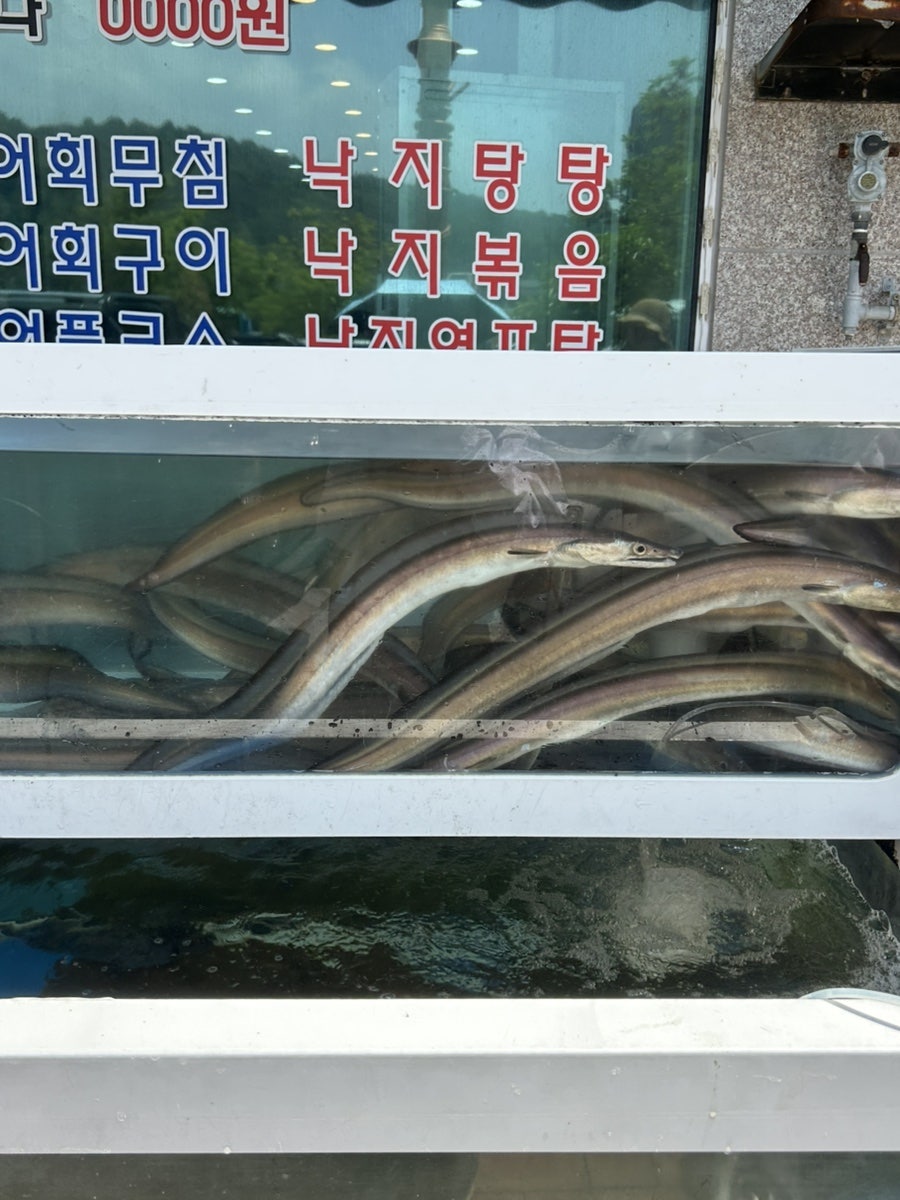 성훈이네횟집 사진 3