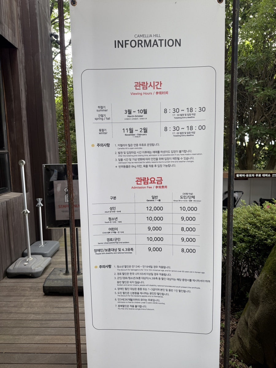 멜리아 사진 4