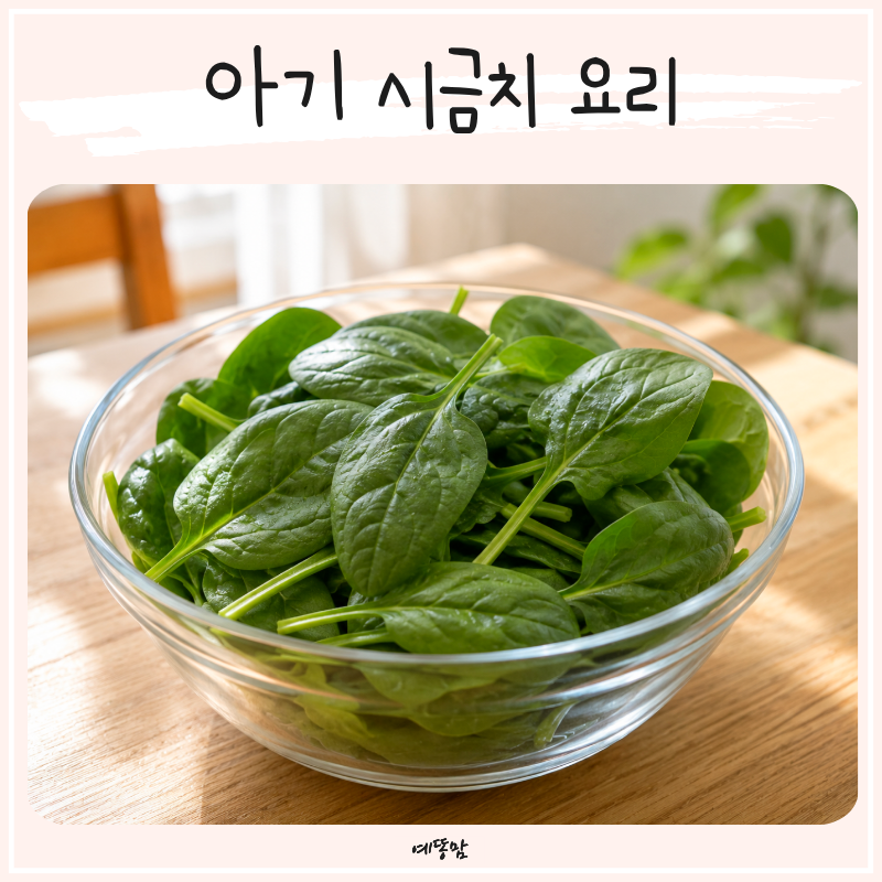 아기 시금치 효능 가득 유아식 시금치무침 된장국 리조또 프리타타 만들기