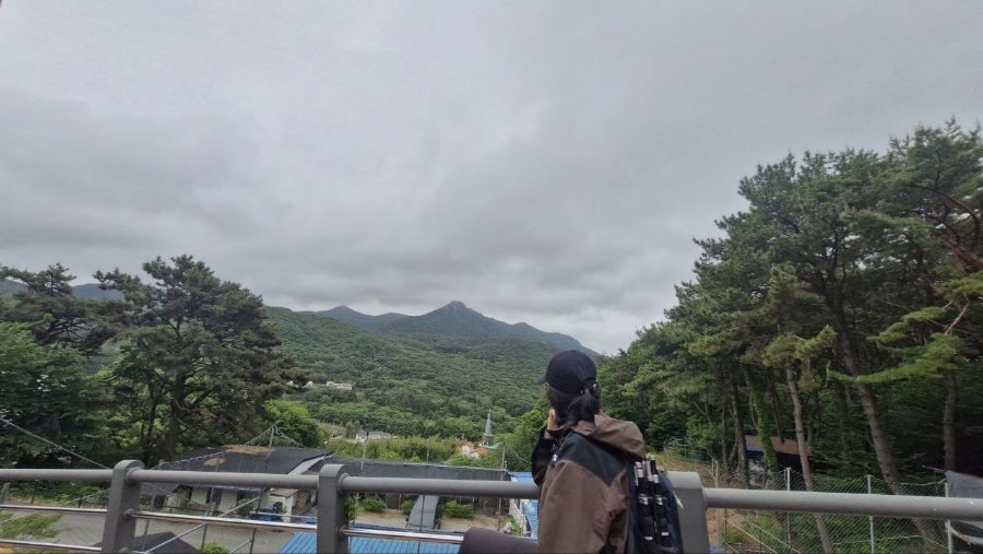 멧돼지농장 사진 3