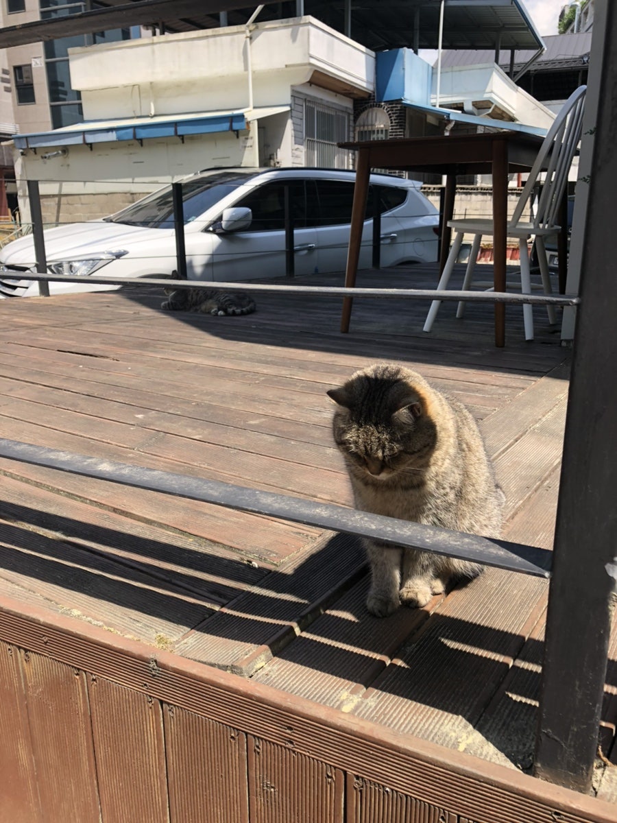 써드메이 사진 6