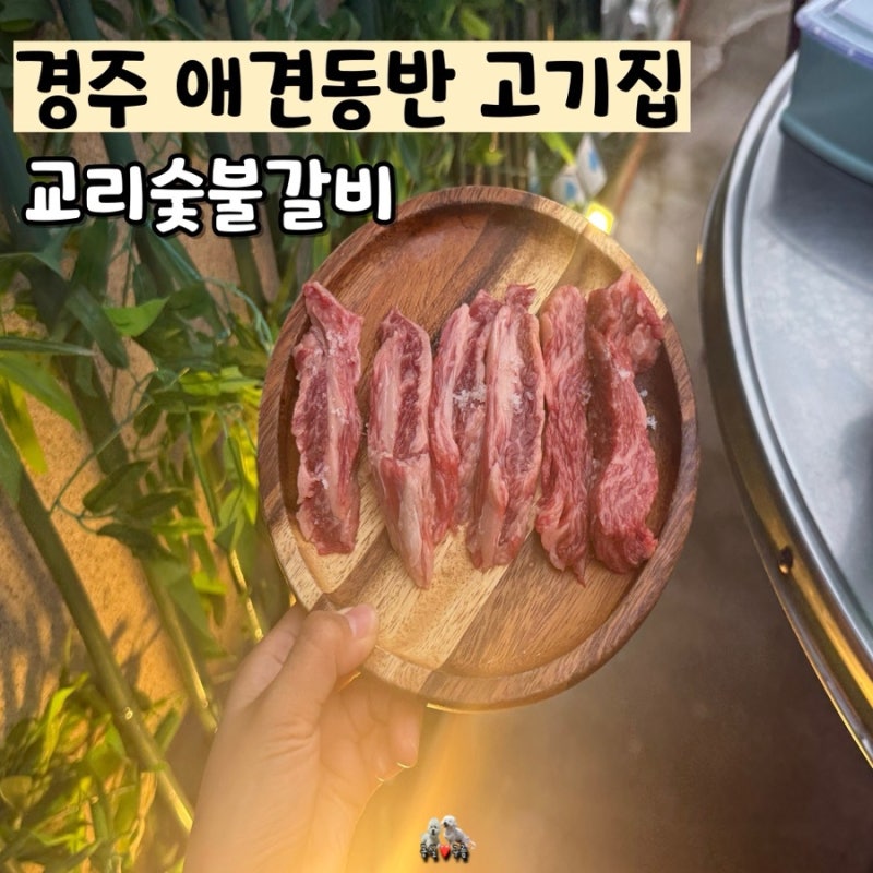 경주 애견동반 여행지 황리단길 고기 맛집 추천 교리숯불갈비
