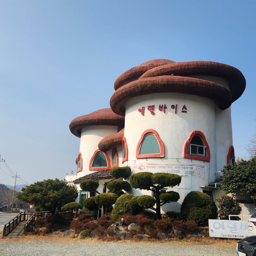 에델바이스 사진 1