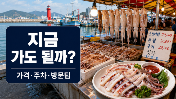  속초 오징어난전 지금 가도 될까? 가격 논란 후 방문팁